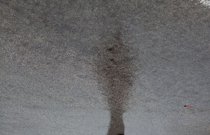 Trasfigurazioni serie - a Photographic Art Artowrk by Massimo Motta